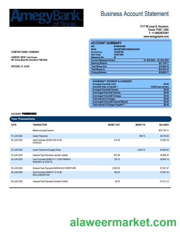Amegy Corporation Bank organization account statement Word and PDF template